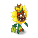 Tournesol Affamé